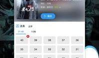 小锤子热点爆料视频下载,下载背后的真相与技巧