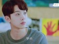 他她他在线观看,在线观看的浪漫邂逅