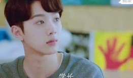 他她他在线观看,在线观看的浪漫邂逅