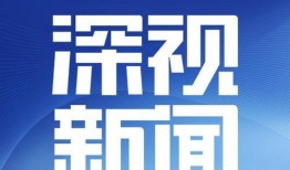 深圳蒋先生最新爆料新闻,最新劲爆新闻揭秘