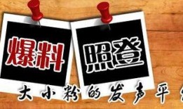 南京新闻爆料平台,聚焦城市热点，揭示民生关切