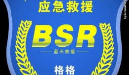 爆料蓝天救援视频大全,揭秘震撼救援瞬间视频大全