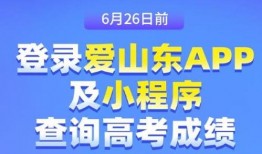 东营负面新闻爆料最新,官方调查启动