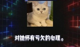 吃瓜娱乐八卦最新版下载,揭秘娱乐圈最新动态，一键下载尽享精彩