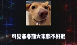 娱乐八卦吃瓜全集,揭秘明星幕后故事，吃瓜全集大揭秘