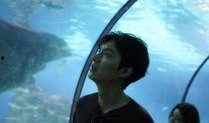 蓝色大海的传在线观看,探寻神秘海洋的浪漫传说
