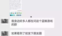 搜索爆料小视频,揭秘网络爆火小视频背后的秘密与现象