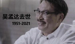 娱乐圈大型吃瓜群众小说,瓜田里的明星秘闻